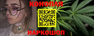 гашик Новокубанск