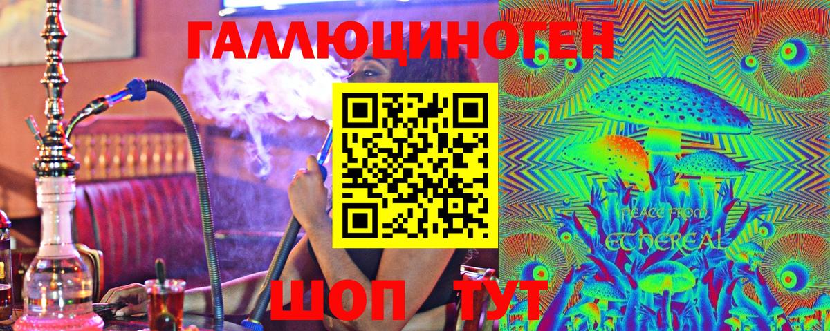 Галлюциногенные грибы Psilocybe Сафоново