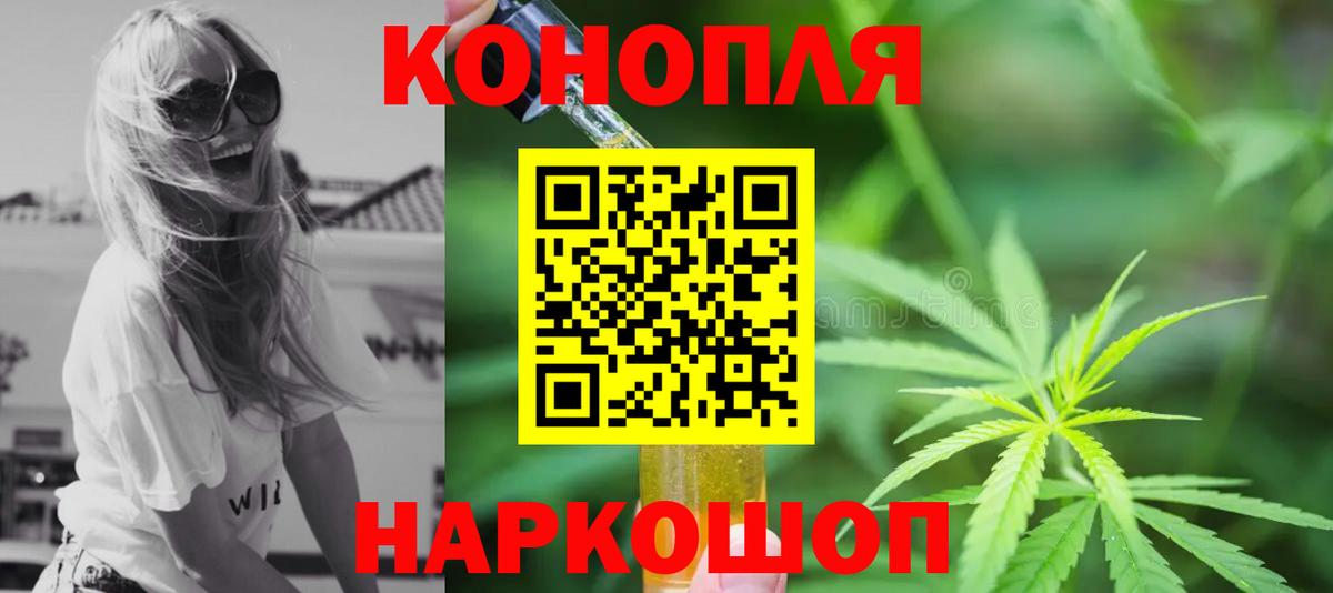 Конопля планчик Сафоново